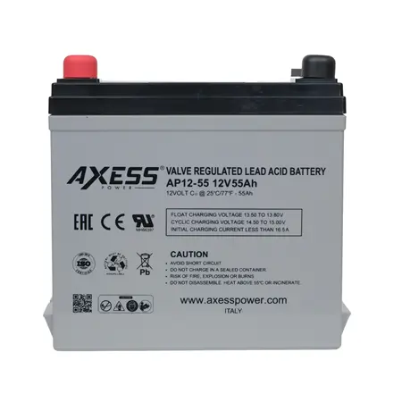 AXESS AP12-55 VALVE REGULATED LEAD ACID BATTERY 12V-55AH.