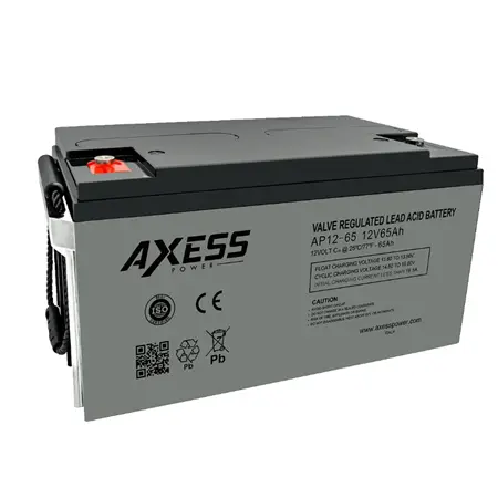 AXESS AP12-65 VALVE REGULATED LEAD ACID BATTERY 12V-65AH.